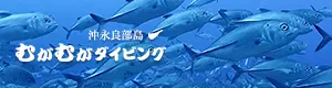 沖永良部島むがむがダイビング