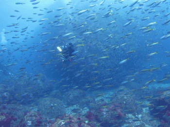 タカベ壁