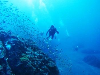 この浮遊感