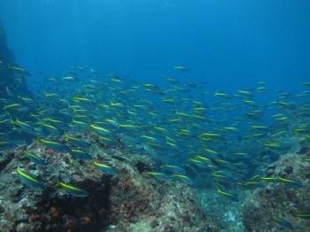 タカベ壁