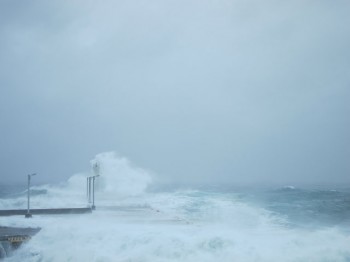 台風15号その1