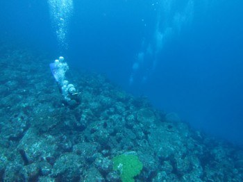 超三宅ブルー2！水底までくっきり