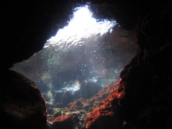 三宅島のセノーテ